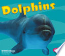 Dolphins cover