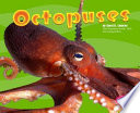 Octopuses cover