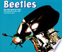 Beetles cover