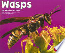 Wasps cover