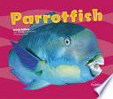 Parrotfish cover