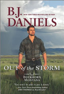 Stallion in the Storm cover