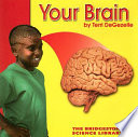 Your Brain cover