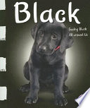 Black: Seeing Black All Around Us cover