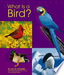 What Is a Bird? cover