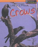 Life in a Flock: Crows cover