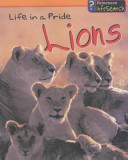 Life in a Pride: Lions cover