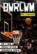 Basketball cover