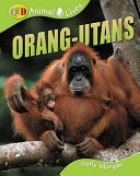 Orang-utans cover