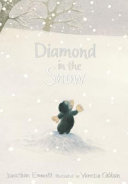 Diamond in the Snow cover
