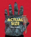Actual Size cover