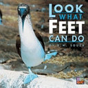 Look What Feet Can Do cover
