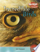 Incredible Birds (Freestyle Express) cover