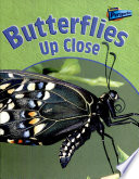 Butterflies up Close cover
