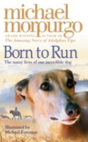 Born to Run cover
