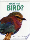 Bird cover