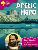 Arctic Hero cover