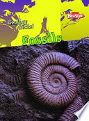 Fossils (Freestyle) cover