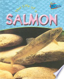The Life of a Salmon cover