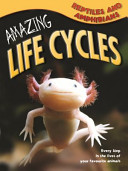 Reptiles and Amphibians cover