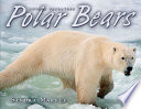 Polar Bears cover