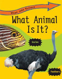 What Animal Is It? cover