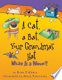 A Cat, a Bat, Your Grandma's Hat: What Is a Noun? cover