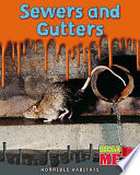 Sewers and Gutters cover