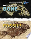 How Does a Bone Become a Fossil? cover