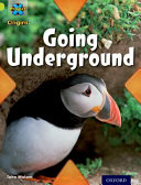 Going Underground cover