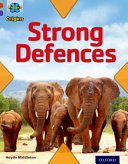 Strong Defences cover
