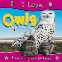 I Love Owls (NS) cover
