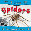 I Love Spiders (NS) cover