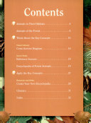 Forest Animals cover