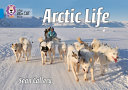 Arctic cover
