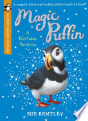 A Birthday Surprise cover
