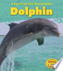 Dolphin cover