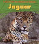 Jaguar cover