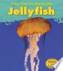 Jellyfish cover