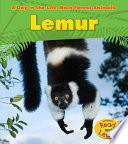 Lemur cover