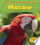 Macaw cover