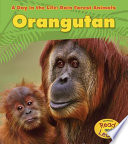 Orangutan cover