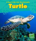 Turtle cover