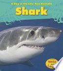 Shark cover