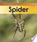 Spider (Revised Edition) cover