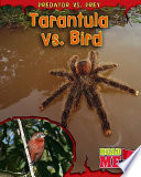 Tarantula vs. Bird cover