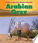 Arabian Oryx cover