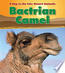 Bactrian Camel cover