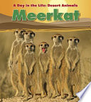 Meerkat cover