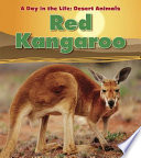 Red Kangaroo cover